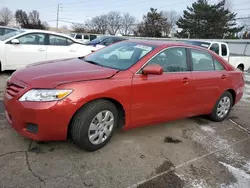 Salvage cars for sale at Moraine, OH auction: 2010 Toyota Camry Base