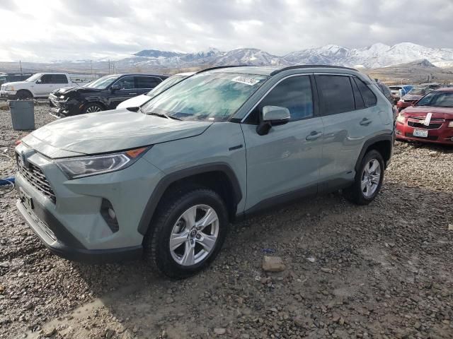 2019 Toyota Rav4 XLE