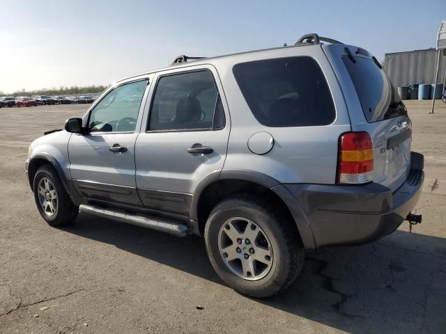 2003 Ford Escape XLT