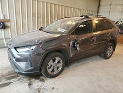 Salvage cars for sale at Abilene, TX auction: 2024 Toyota Rav4 XLE