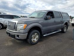 Salvage trucks for sale at Ham Lake, MN auction: 2012 Ford F150 Supercrew