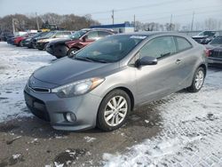 Salvage cars for sale at Ham Lake, MN auction: 2014 KIA Forte EX