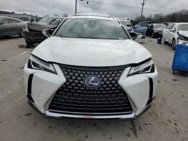 2019 Lexus UX 250H