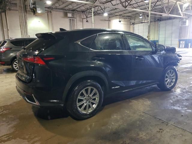 2021 Lexus NX 300H Base