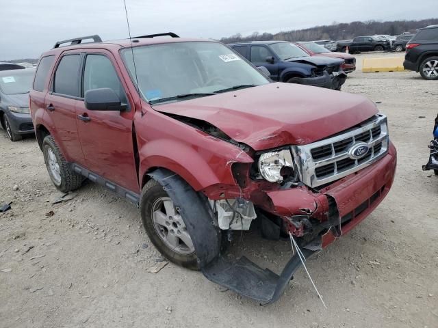 2010 Ford Escape XLT