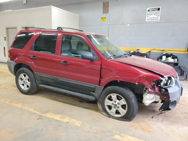 2005 Ford Escape XLT