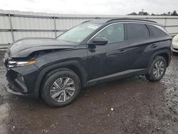 Salvage cars for sale at Fredericksburg, VA auction: 2024 Hyundai Tucson Blue