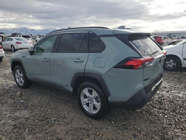 2019 Toyota Rav4 XLE