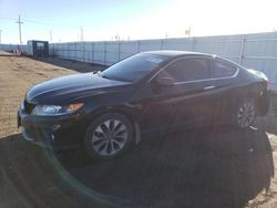 Honda salvage cars for sale: 2014 Honda Accord EXL