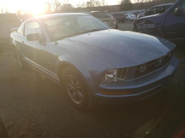 2005 Ford Mustang