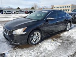 Salvage cars for sale at Littleton, CO auction: 2010 Nissan Maxima S