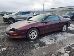 1995 Chevrolet Camaro en venta en Ottawa, ON