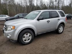 Ford Escape Vehiculos salvage en venta: 2011 Ford Escape XLT