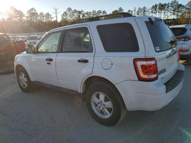 2009 Ford Escape XLT