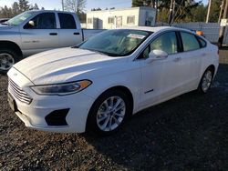 Ford Fusion sel salvage cars for sale: 2019 Ford Fusion SEL