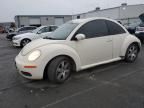 2006 Volkswagen New Beetle 2.5L Option Package 1