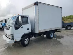 Salvage trucks for sale at Fort Pierce, FL auction: 2007 Isuzu NPR