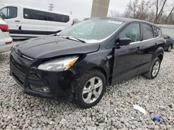 Ford Escape salvage cars for sale: 2014 Ford Escape SE