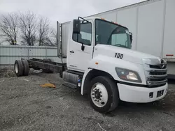 Salvage trucks for sale at Dyer, IN auction: 2018 Hino 258 268