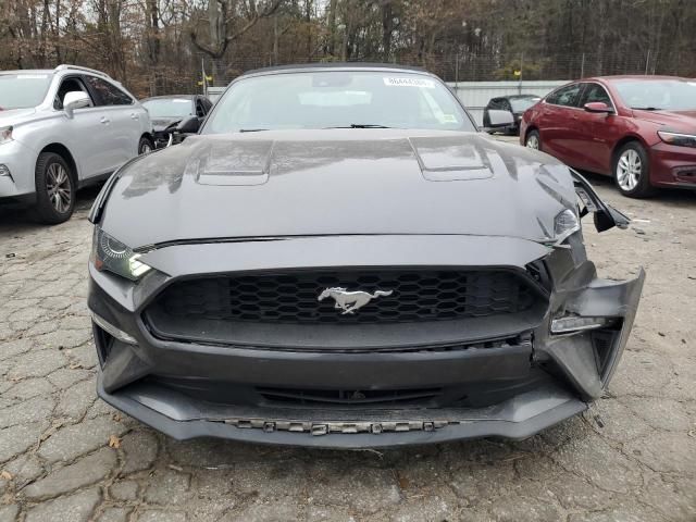 2019 Ford Mustang