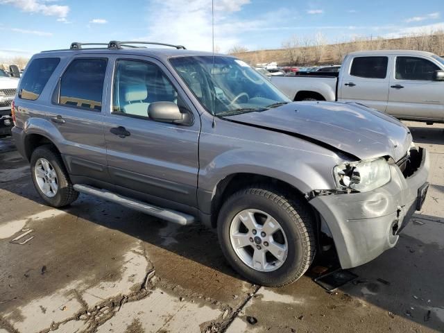 2007 Ford Escape XLT