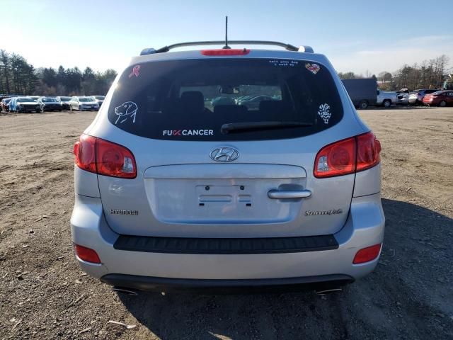 2009 Hyundai Santa FE SE