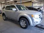 2008 Ford Escape Limited