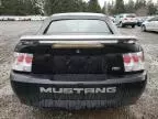 2004 Ford Mustang