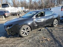 Salvage cars for sale from Copart Baltimore, MD: 2017 Nissan Maxima 3.5S