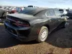 2020 Dodge Charger Police