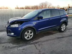 Salvage cars for sale at Rogersville, MO auction: 2014 Ford Escape SE