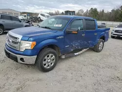 Salvage cars for sale from Copart Memphis, TN: 2014 Ford F150 Supercrew