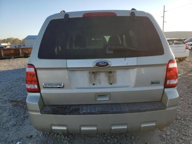 2010 Ford Escape XLT