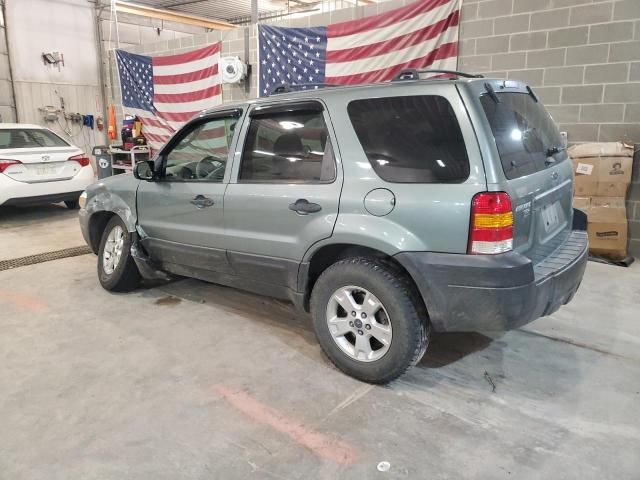 2005 Ford Escape XLT