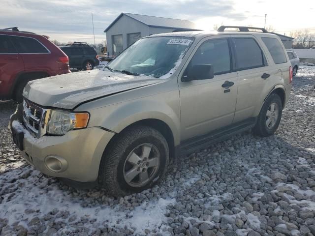 2010 Ford Escape XLT