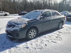 Salvage cars for sale from Copart Cookstown, ON: 2011 Toyota Corolla Base