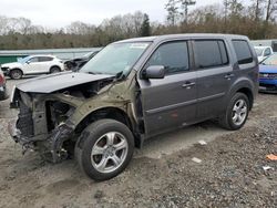 Honda Pilot Vehiculos salvage en venta: 2014 Honda Pilot EX