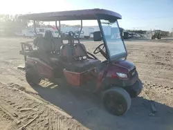 2024 Golf Cart en venta en Riverview, FL