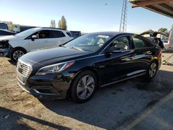 Salvage cars for sale at Hayward, CA auction: 2017 Hyundai Sonata Hybrid