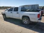 2006 Dodge Dakota Quad SLT