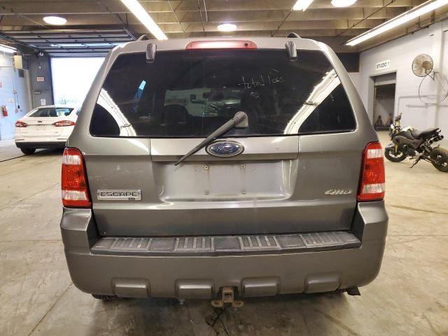 2009 Ford Escape XLT