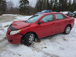 Toyota salvage cars for sale: 2010 Toyota Corolla Base