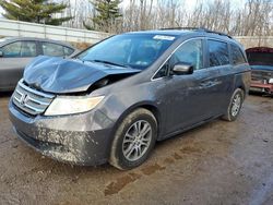 Salvage cars for sale at Davison, MI auction: 2013 Honda Odyssey EX