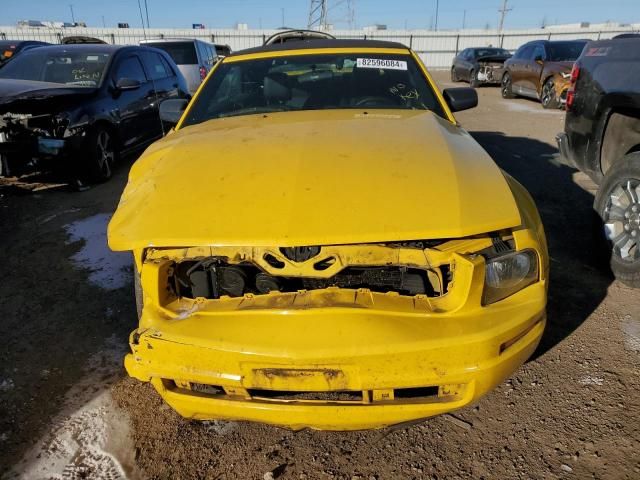 2005 Ford Mustang