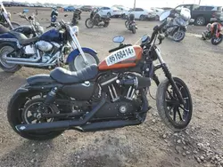 Salvage motorcycles for sale at Houston, TX auction: 2020 Harley-Davidson XL883 N