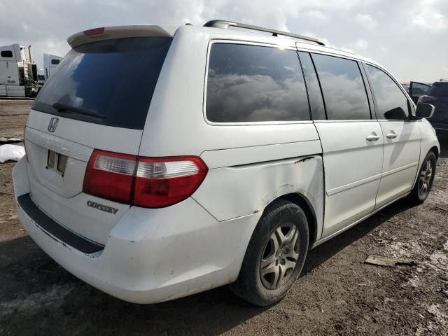 2005 Honda Odyssey EX