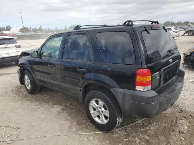 2006 Ford Escape XLT