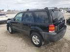 2006 Ford Escape XLT