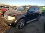 2008 Ford Escape Limited