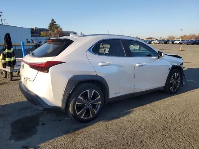 2019 Lexus UX 250H